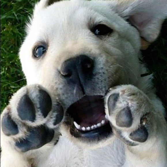 Meet your Posher, Nicola - Picture 5 of 12